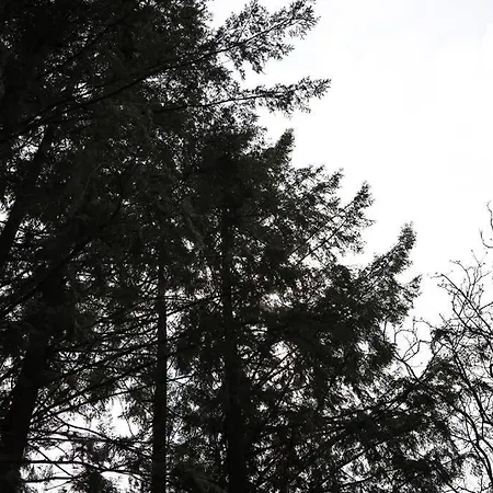 Hébergement de vacances Aussichtsreich Odenwald *